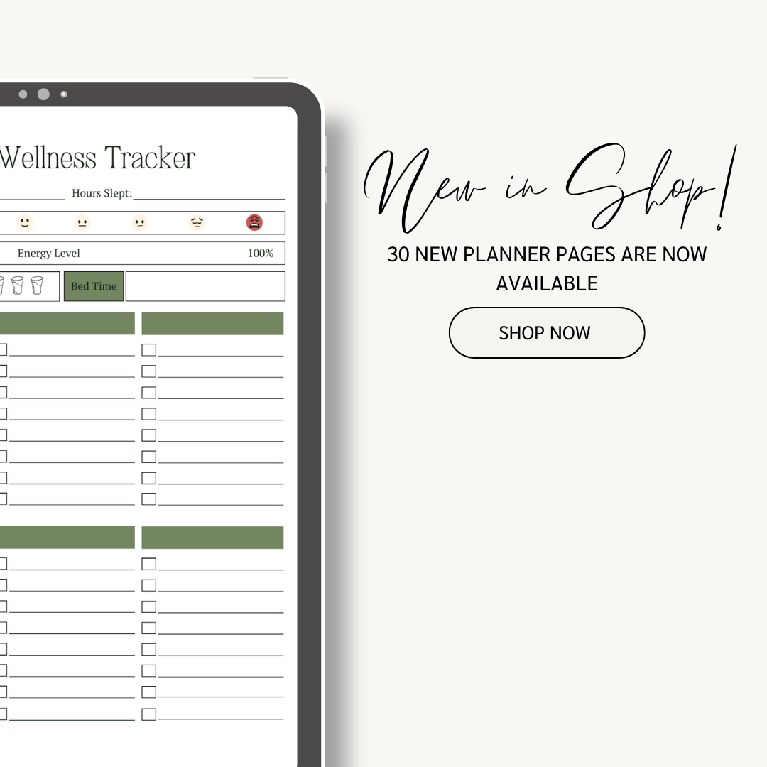 Done For You: Self Care Planner ver. 2 with PLR & MRR License